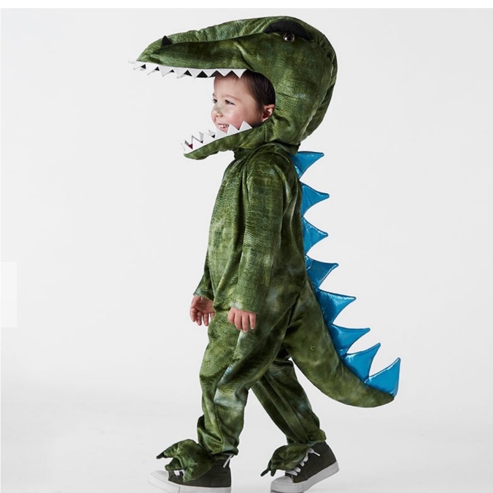 Kids T-Rex Dinosaur Costumes Pottery Barn Kids